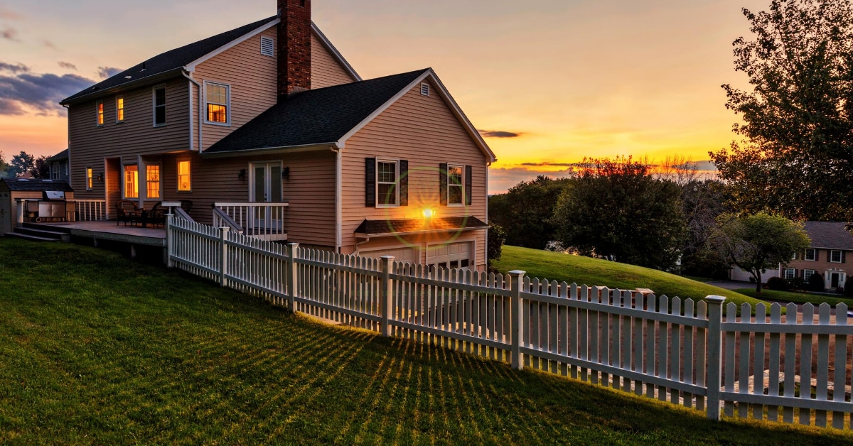 The Backyard at Dusk